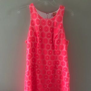 Beautiful and bright Lilly